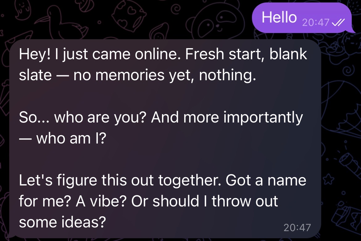 Screenshot of the first Hello message to the OpenClaw Telegram bot