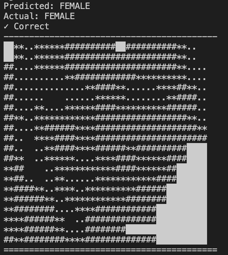 Screenshot of PerceptronFace